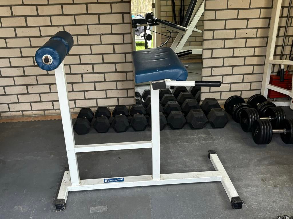 Hyperextesion / roman chair, Sport en Fitness, Fitnessmaterialen, Ophalen of Verzenden, Gebruikt, Buik, Fitnessbank