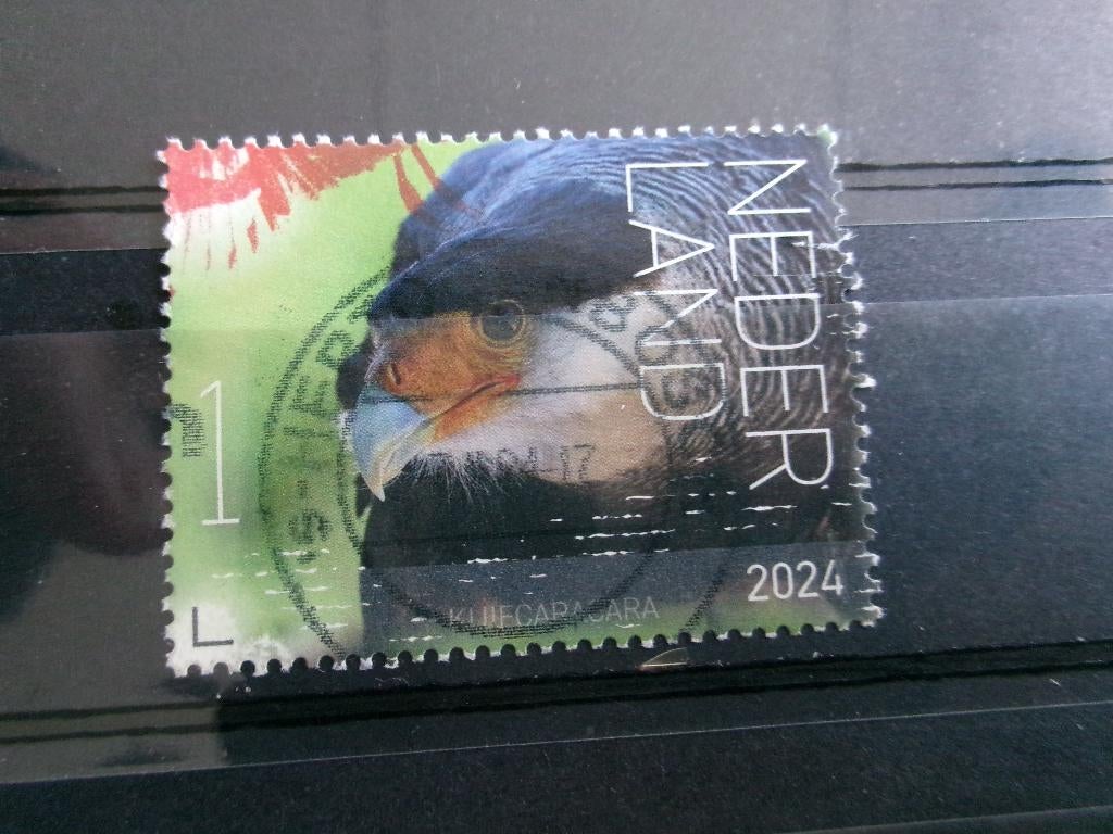 2024 - beleef de natuur kuifcaracara (740b), Postzegels en Munten, Postzegels | Nederland, Verzenden, Gestempeld