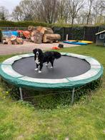 Trampoline - gratis af te halen, Ophalen, Gebruikt