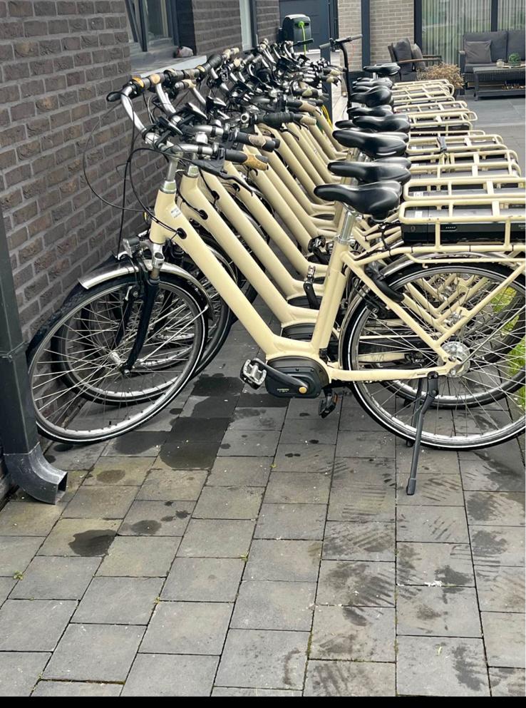 Elektrischen fietsen oxford, Ophalen of Verzenden, Zo goed als nieuw, Overige merken