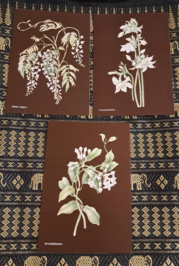 Janneke Brinkman ansicht kaarten set 25 jaar passie, Ophalen of Verzenden, 1980 tot heden, Ongelopen, Natuur