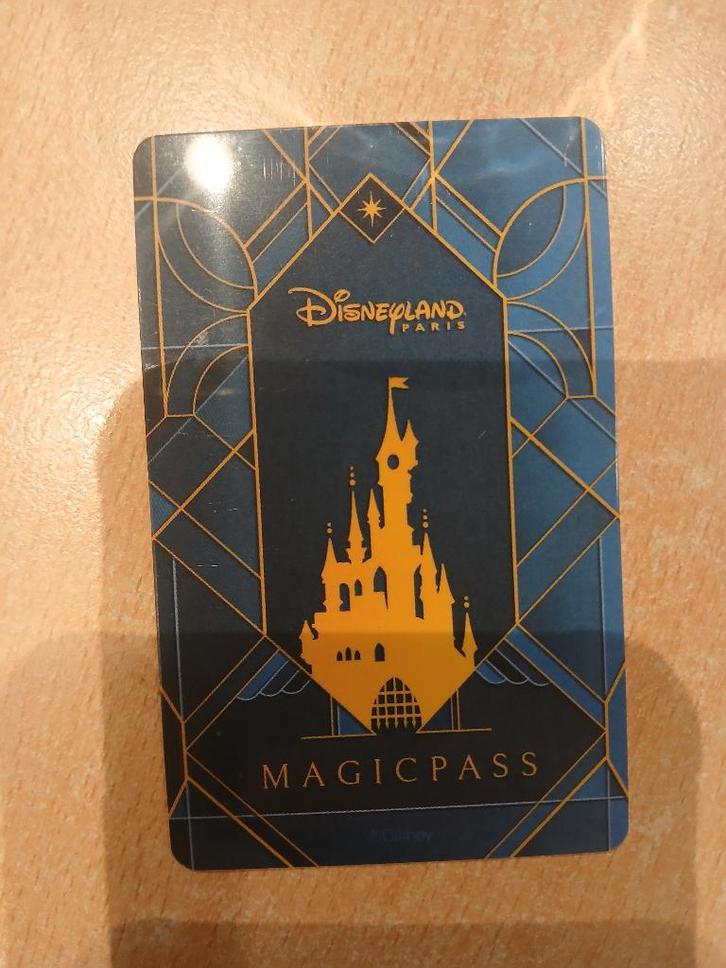 2 stuks disney magic pas, entree disneyland parijs, Tickets en Kaartjes, Recreatie | Pretparken en Attractieparken, Twee personen