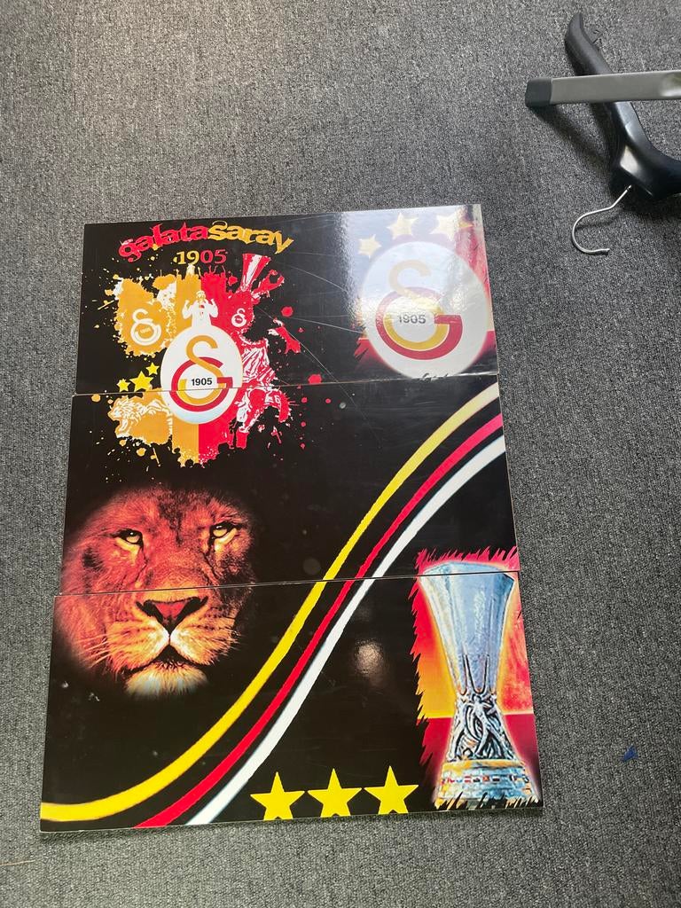 Galatasaray Decoratief Paneel - Voetbal Fan Item, Ophalen of Verzenden, Gebruikt, Buitenlandse clubs, Overige typen
