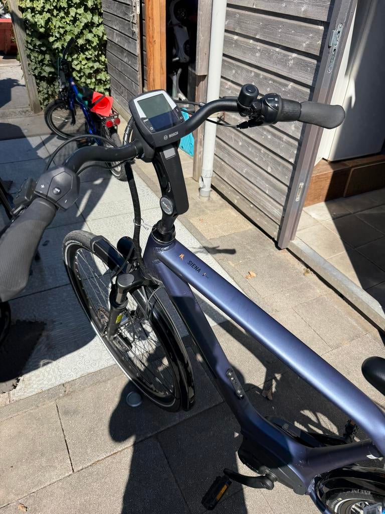 Pegasus Siena E7 PLUS Belt & Disc E-bike - Steel Blue Mat, Zo goed als nieuw, 50 km per accu of meer, 55 tot 59 cm, Ophalen