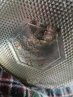 Philips warmtelamp 230V 80 watt, Gebruikt, Gloeilamp, Klassiek, 60 watt of meer