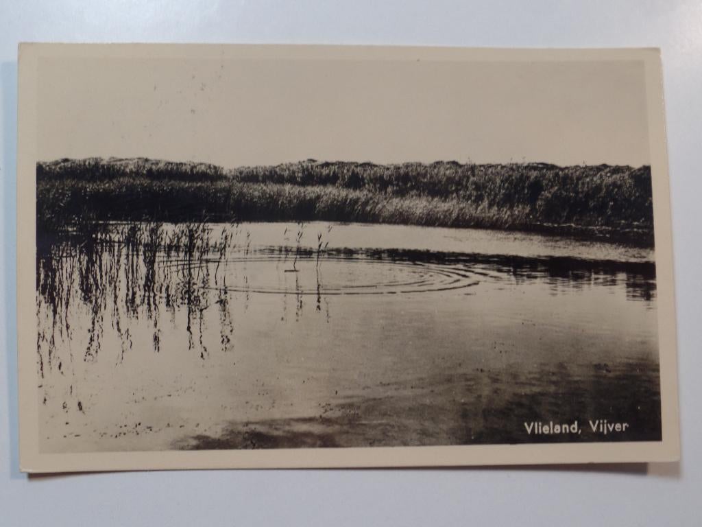 Vlieland 34, Verzamelen, Ansichtkaarten | Nederland, Verzenden, Ongelopen, Waddeneilanden