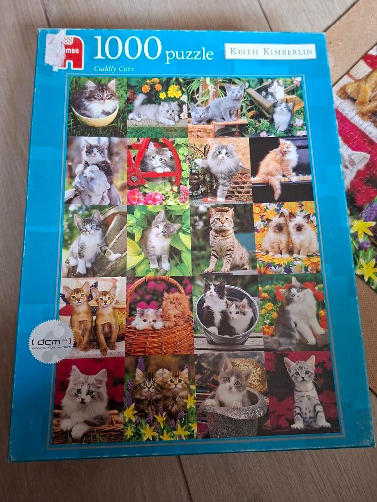 Jumbo puzzel Katten, Ophalen of Verzenden, 500 t/m 1500 stukjes, Zo goed als nieuw, Legpuzzel