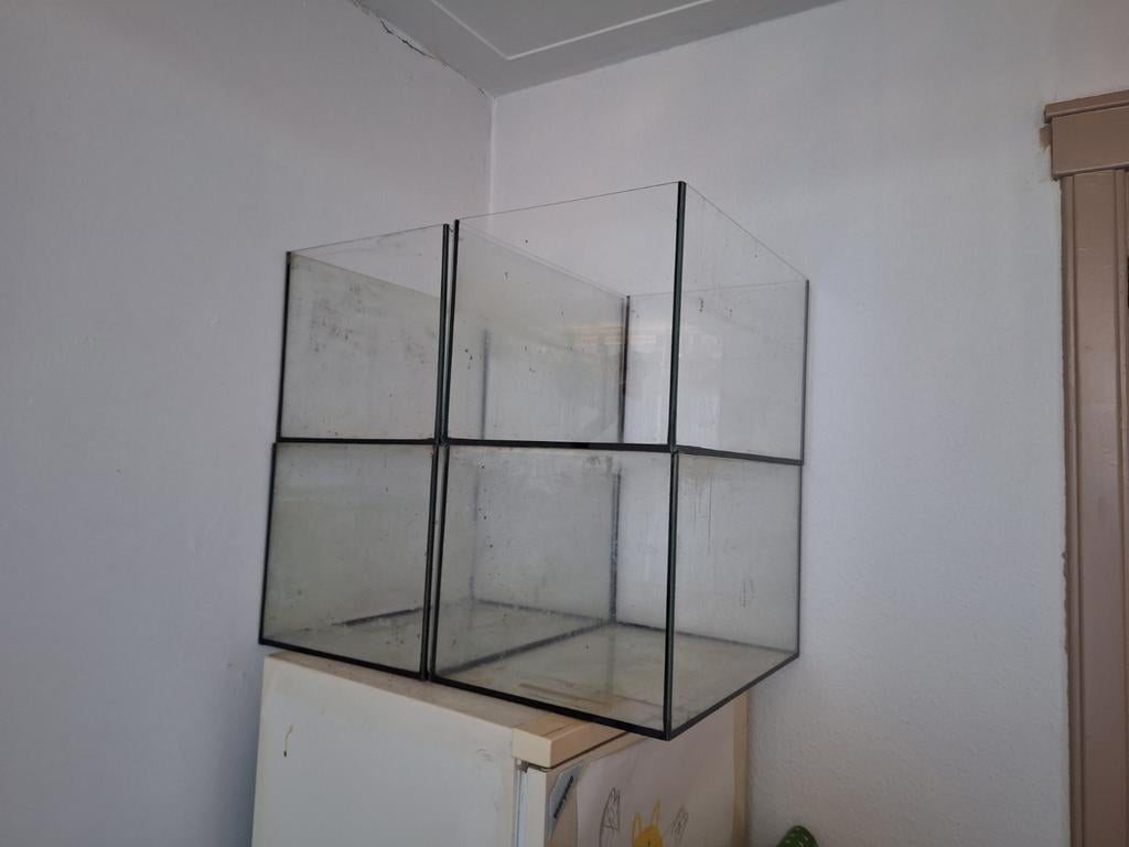 4 aquariums / kweekbakken, Ophalen of Verzenden