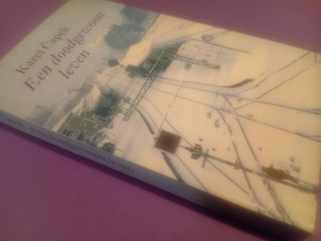 Karel Čapek – Een doodgewoon leven, Ophalen of Verzenden, Gelezen