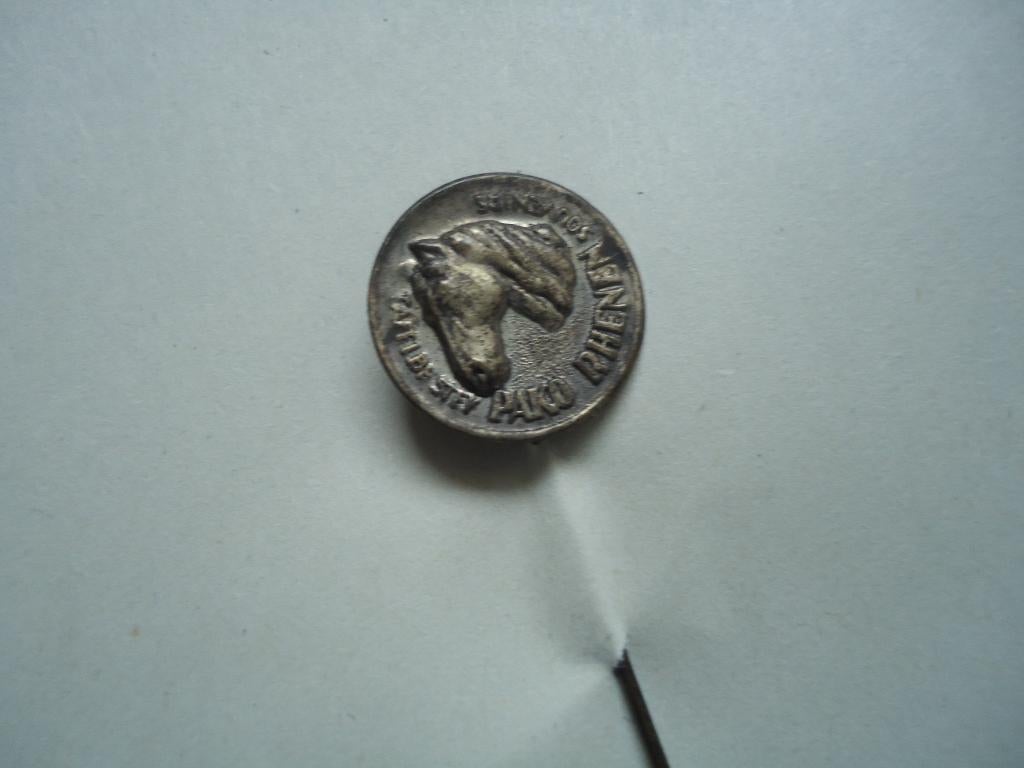 Rhenen Pako speldje, Verzamelen, Speldjes, Pins en Buttons, Ophalen of Verzenden, Gebruikt, Overige onderwerpen