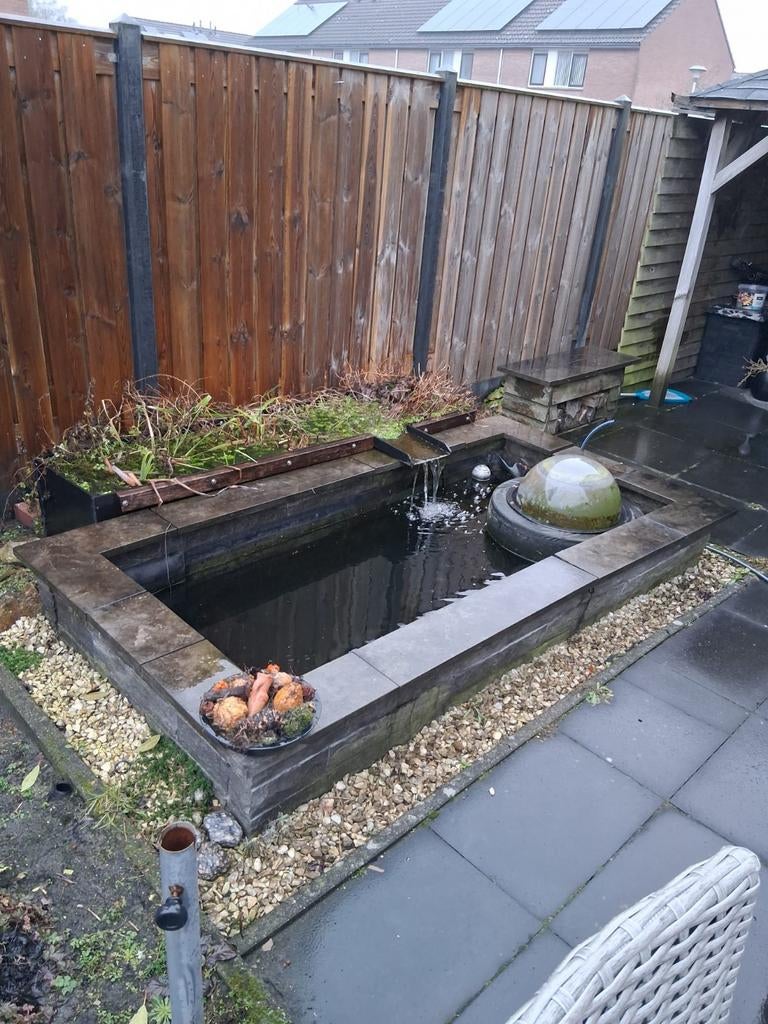 Vijver met vissen, plantenfilter en koepel + hogedruk filter, Ophalen, Gebruikt, Overige typen, 200 tot 400 cm