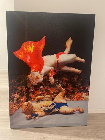 Canvas van 2 worstelende katten  beschikbaar voor biedingen
