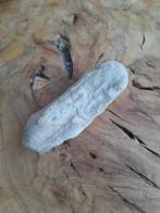 Versteend hout., Ophalen of Verzenden, Mineraal