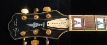 Jay Turser JT141 jazz gitaar  beschikbaar voor biedingen