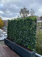 Planten bakken op maat en  groenblijvende haag, Nieuw, Ophalen of Verzenden, 60 cm of meer, Rechthoekig