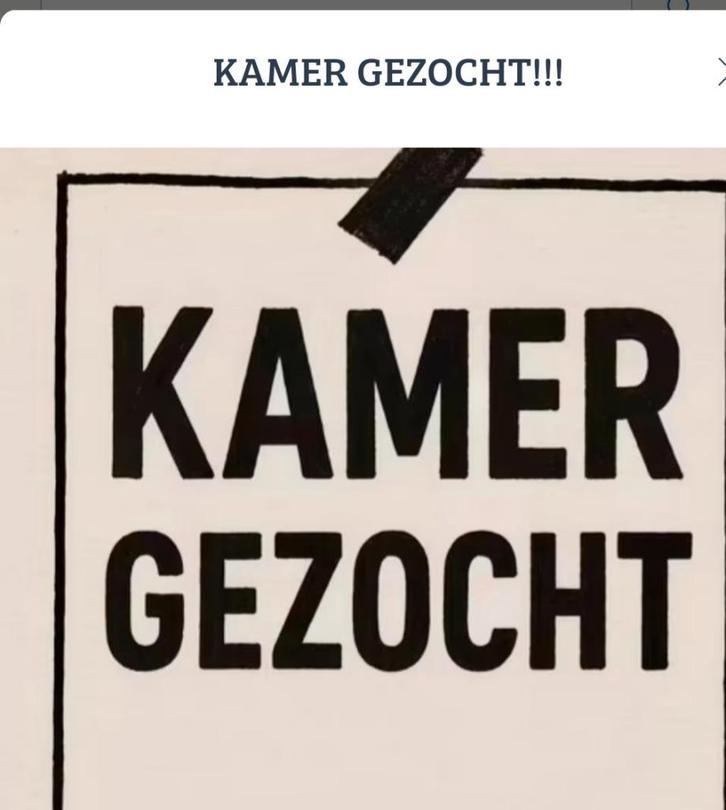 Gezocht Kamer of woning, Huizen en Kamers, Op zoek naar een kamer