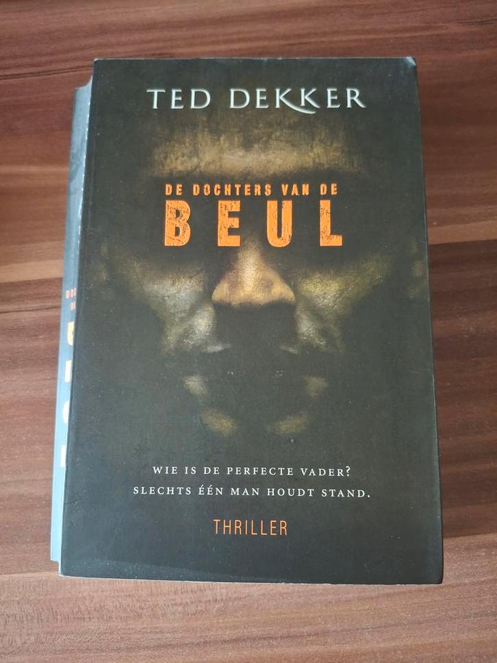 De Dochters van de Beul - Ted Dekker Thriller, Boeken, Thrillers, Zo goed als nieuw, Nederland, Ophalen of Verzenden