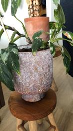 Pot op voet, Tuin en Terras, Bloempotten, Ophalen, Zo goed als nieuw, Rond, Minder dan 25 cm