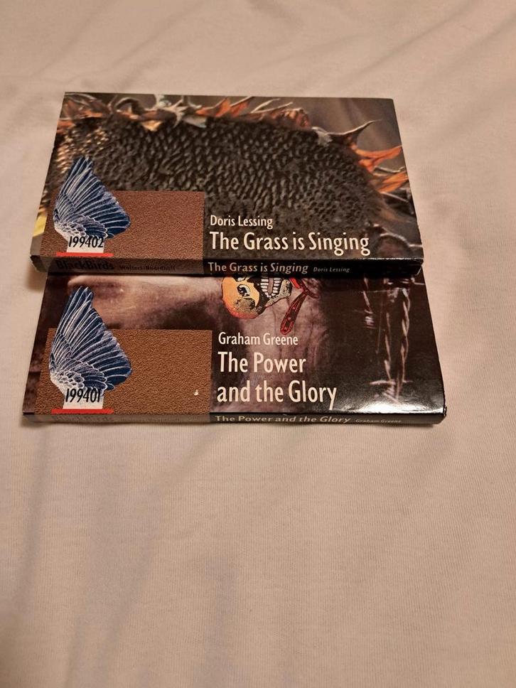 Blackbirds Engelse boeken samen 2 voor 2 euro, Boeken, Taal | Engels, Gelezen, Ophalen of Verzenden