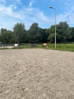 Paddock paradijs achtig iets gezocht, Dieren en Toebehoren