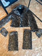 Carnaval Tijger Outfit - Jas, Beenwarmers & Mouwen, Ophalen of Verzenden, Zo goed als nieuw, Maat 36 (S), Carnaval