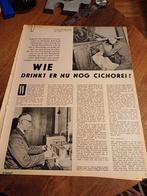 Artikel cichoreifabrikant Musschenga Kloosterburen 1960, Ophalen of Verzenden, 1940 tot 1960, Knipsel(s)