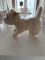 Steiff hond westy, Ophalen of Verzenden