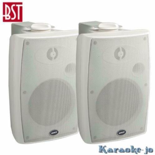 BST-270TW 100Volt Luidspreker set 2-weg 30 Watt, Audio, Tv en Foto, Luidsprekers, Nieuw, Overige typen, Overige merken, Ophalen of Verzenden