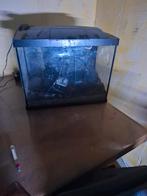 Leeg aquarium met toebehoren, Ophalen, Gebruikt, Leeg aquarium