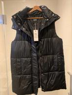 Lange bodywarmer zwart nieuw, Kleding | Dames, Bodywarmers, Nieuw, Maat 38/40 (M), Ophalen of Verzenden, Only