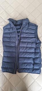 BodyWarmer / Insulated Vest Mango, Ophalen of Verzenden, Zo goed als nieuw, Mango, Maat 48/50 (M)
