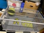 Hamsterkooi, Dieren en Toebehoren, Minder dan 60 cm, Kooi, Minder dan 75 cm, Ophalen of Verzenden