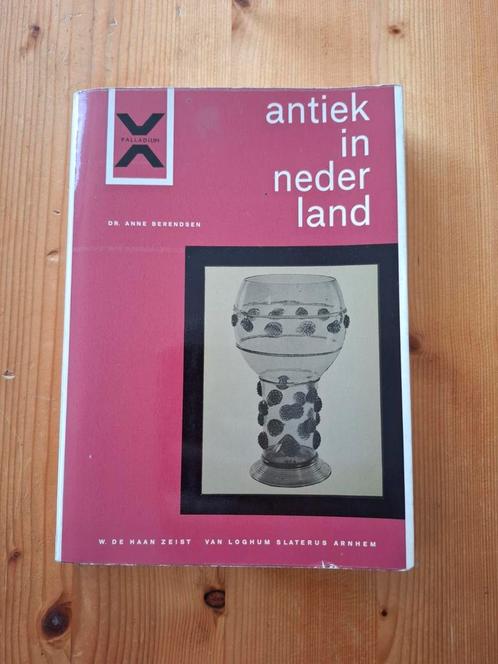 Dr. Anne Berendsen - Antiek in Nederland, Boeken, Overige Boeken, Gelezen, Ophalen of Verzenden