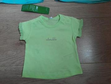 NIEUW! Baby lichtgroen t-shirt Adorable Maat 50 beschikbaar voor biedingen