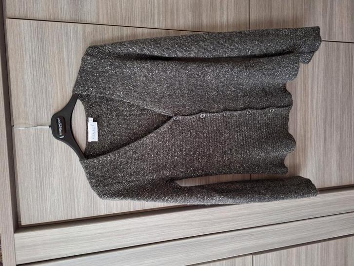 Mooi Feestelijk glittervest  38/40, Kleding | Dames, Truien en Vesten, Zo goed als nieuw, Maat 38/40 (M), Zwart, Ophalen