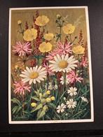 Margriet Boterbloem Koekoeksbloem etc J Voerman illustratie, Verzamelen, Ansichtkaarten | Themakaarten, Verzenden, 1960 tot 1980