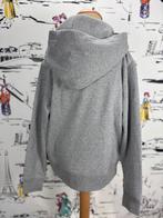 Ralph Lauren hoodie trui beer maat 10-12 NIEUW (129 euro), Verzenden, Trui of Vest, Nieuw, Ralph Lauren