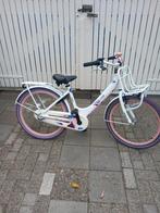 24" Alpina Clubb C3 Meisjesfiets in Nette Staat., Fietsen en Brommers, Fietsen | Meisjes, Ophalen, Gebruikt, 24 inch, Batavus Diva Alpina Clubb Popal Gazelle Union BSP Cube