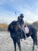 Opzoek naar Bijrijd/lease/verzorg paard., Ophalen of Verzenden