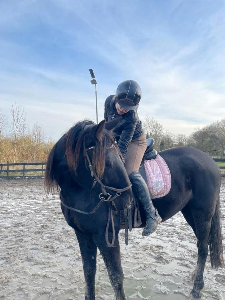 Opzoek naar Bijrijd/lease/verzorg paard., Hobby en Vrije tijd, Overige Hobby en Vrije tijd, Ophalen of Verzenden