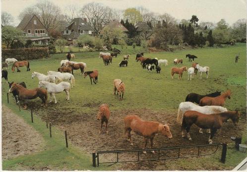 SOEST De Paardenkamp Rusthuis voor Paarden, Verzamelen, Ansichtkaarten | Nederland, Gelopen, Utrecht, 1980 tot heden, Verzenden