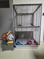 Ratten / Frettenkooi, Dieren en Toebehoren, Knaagdieren en Konijnen | Hokken en Kooien, Ophalen, Zo goed als nieuw, Kooi, 90 cm of meer