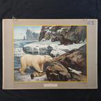 Schoolplaat Te midden van sneeuw en ijs – Koekkoek 1932, Ophalen of Verzenden, Natuur en Biologie