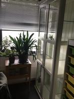 Mooie hoge vitrinekast van Ikea, Ophalen, 50 tot 100 cm, Zo goed als nieuw, 150 tot 200 cm