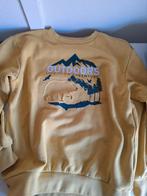 Warme trui, Ophalen, Gebruikt, Jongen of Meisje, Trui of Vest