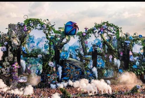 Tomorrowland Magnificent Green W1 ticket, Tickets en Kaartjes, Evenementen en Festivals, Eén persoon, Meerdaags