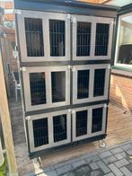 Konijenflat hok, Dieren en Toebehoren, Minder dan 60 cm, Ophalen of Verzenden, Hok, 110 cm of meer