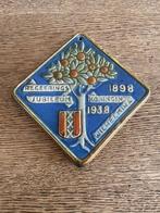 Koningin Wilhelmina tegel regeerings jubileum 1898 - 1938, Ophalen of Verzenden