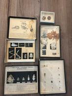 5 vintage biologische displays uit de biologieles, Antiek en Kunst, Ophalen of Verzenden
