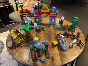 duplo stads dierentuin 5635 beschikbaar voor biedingen